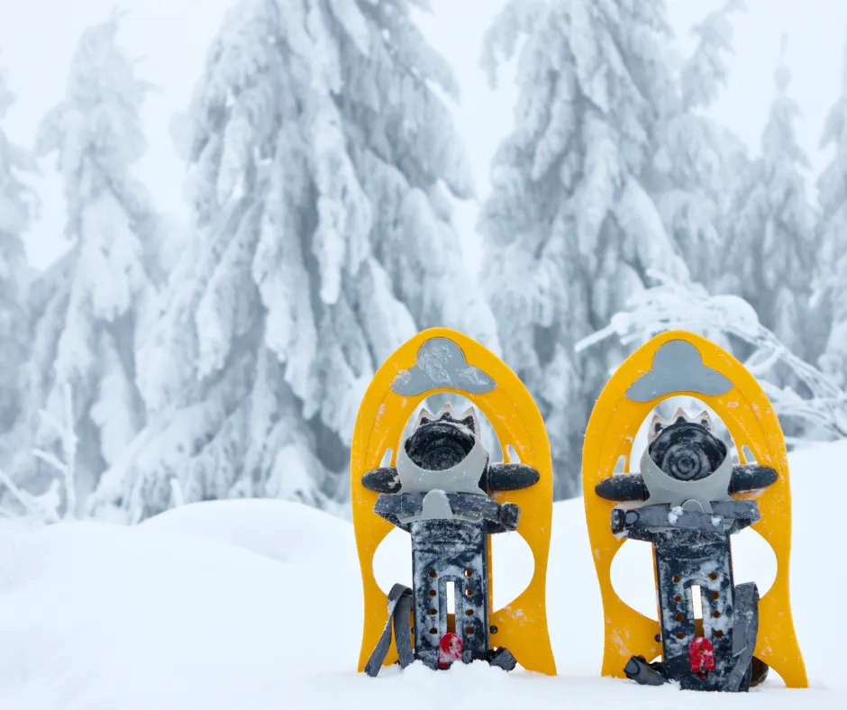 Yellow snowshoes in a snowy woods scene