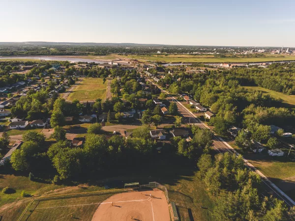 aerial view of a treed neighbourhood in golden sunlight