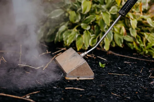 weed prevention tool being used on lawn.