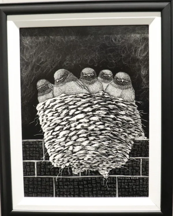 Scratchboard on Masonite artwork of 5 baby swallows in a nest 