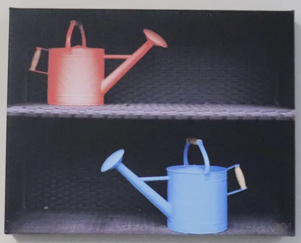 Photograph of watering cans