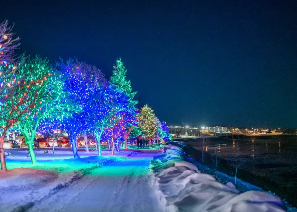 Holiday lights glisten on trees bordering the Riverfront Trail